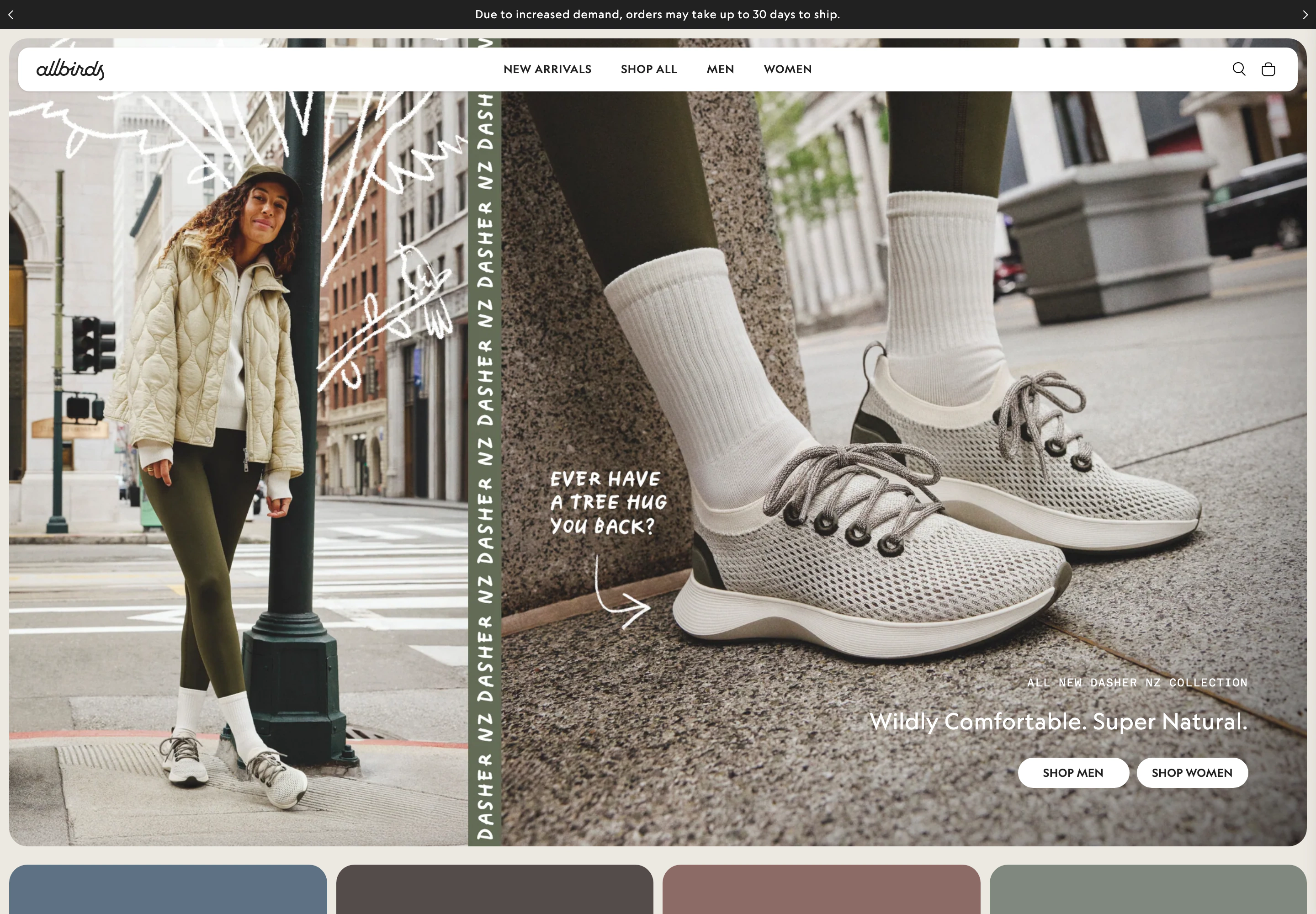 Desktop homepage of Allbirds