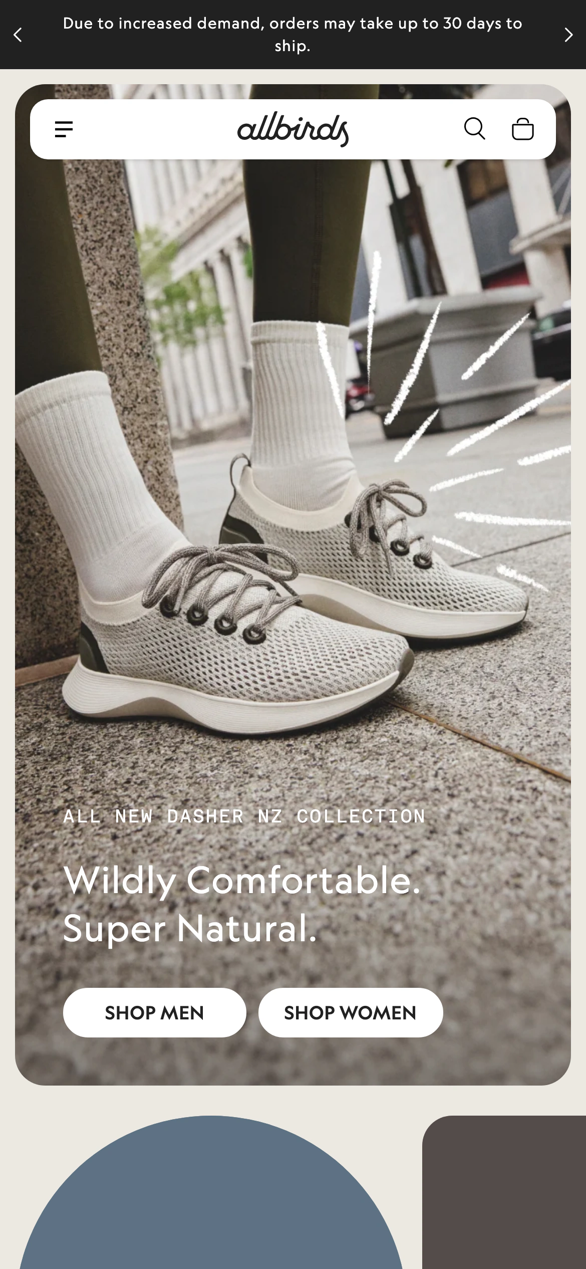 Mobile homepage of Allbirds