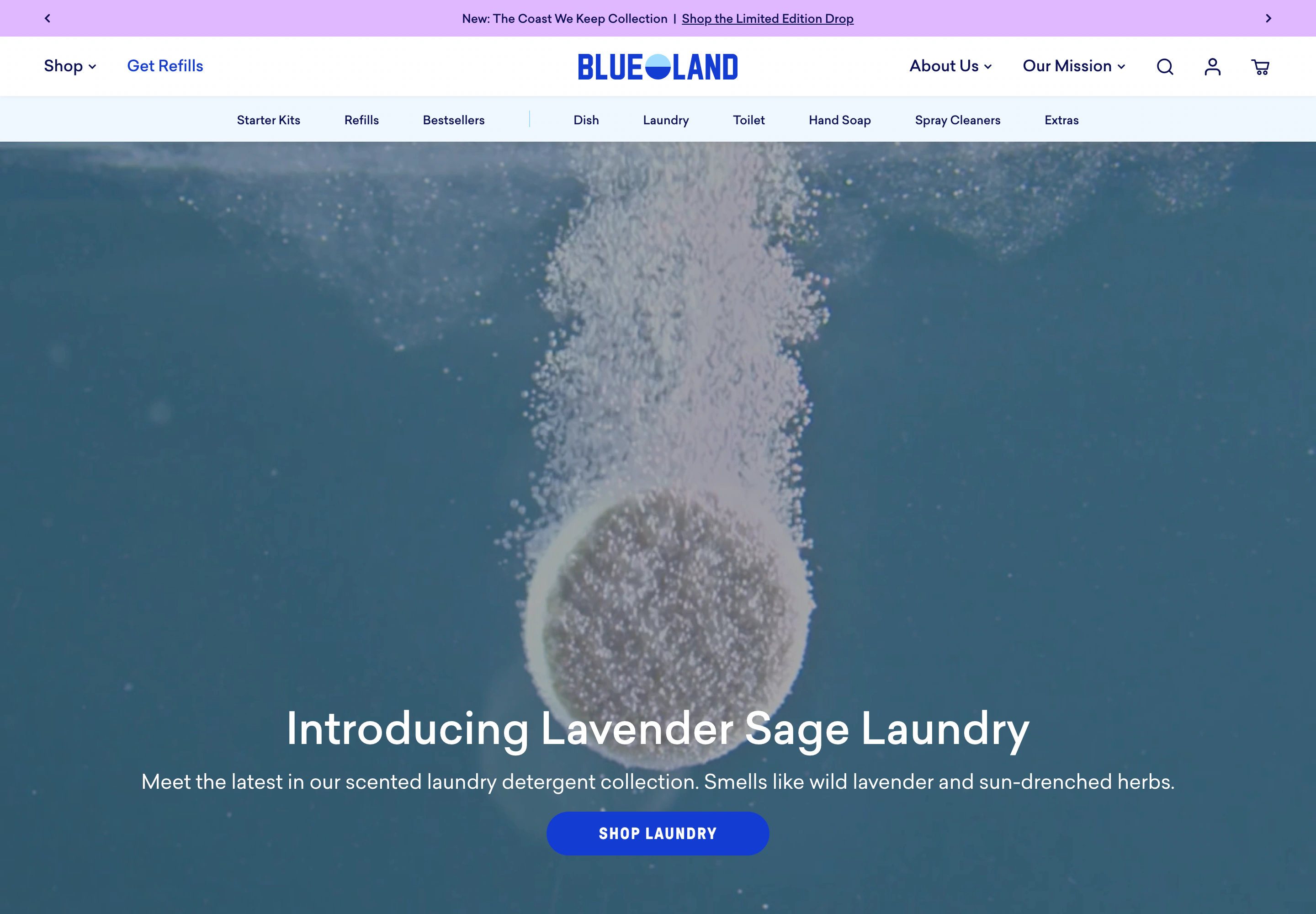 Desktop homepage of Blueland