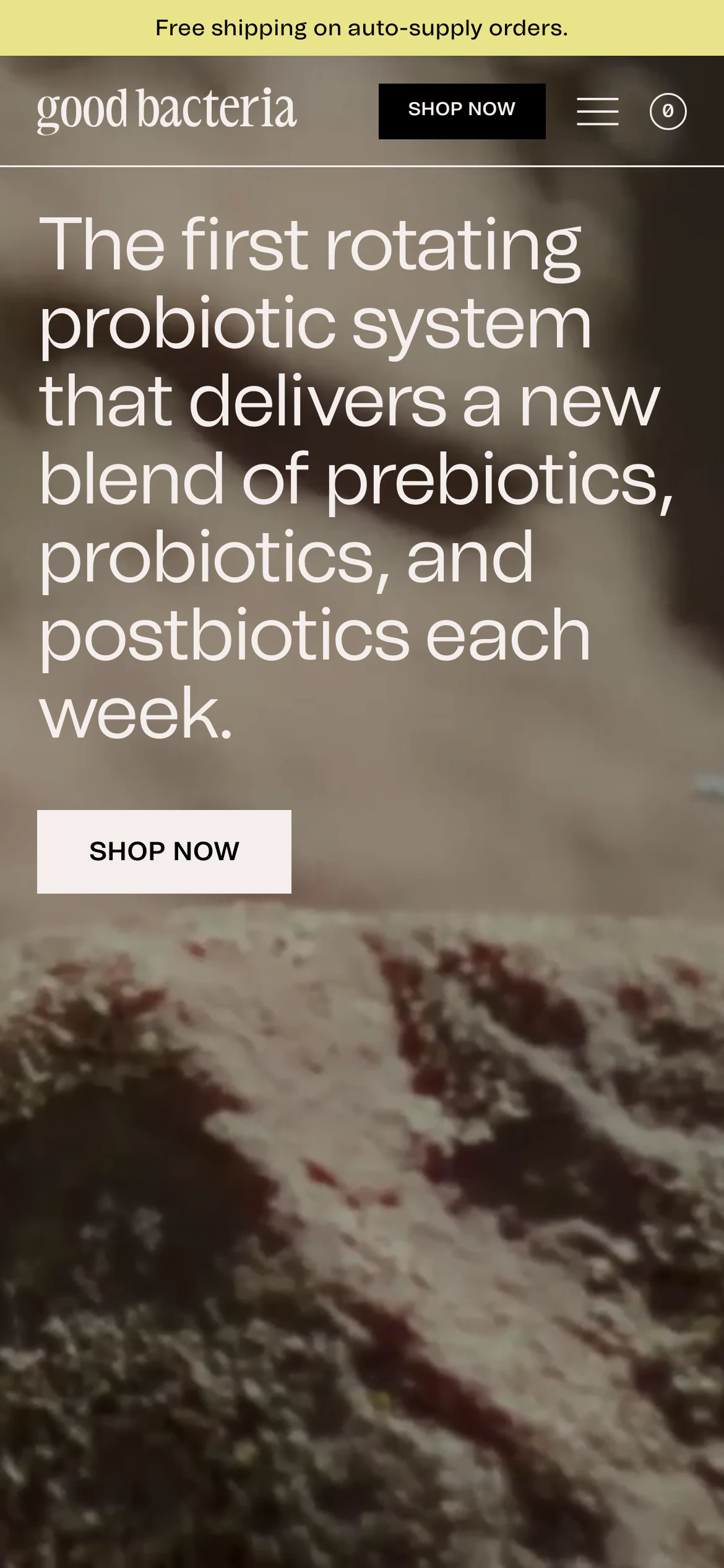 Mobile homepage of Good Bacteria