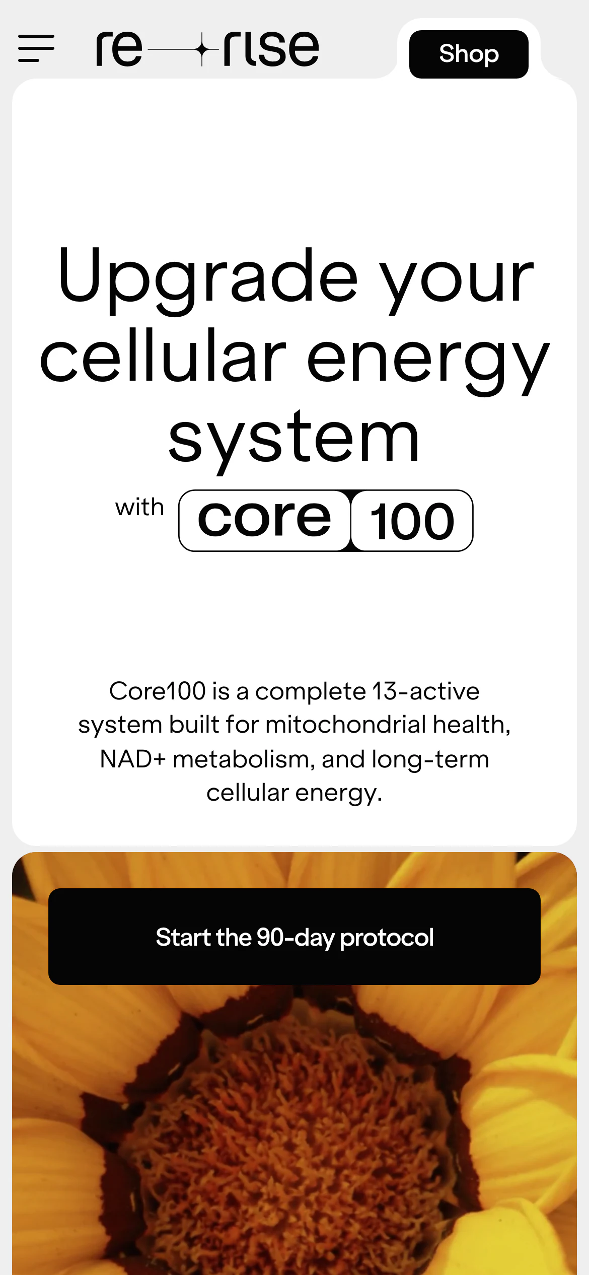 Mobile homepage of Rerise